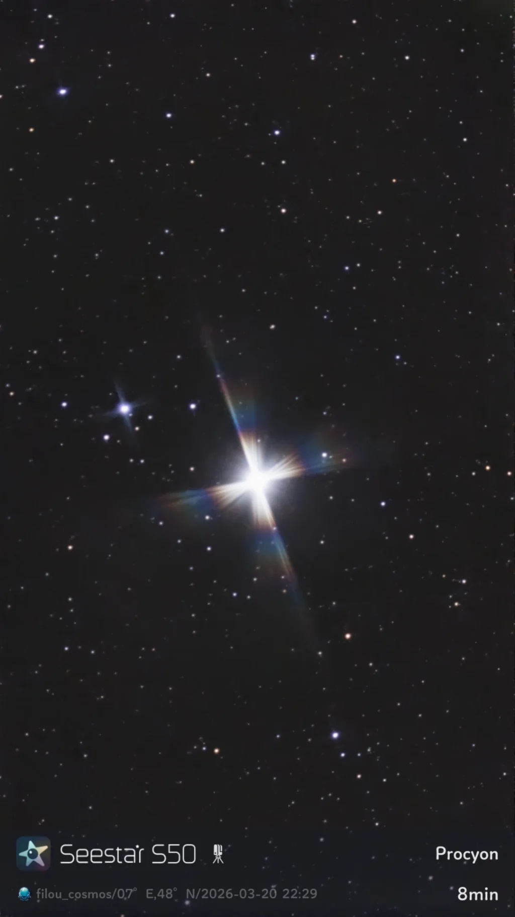 Procyon