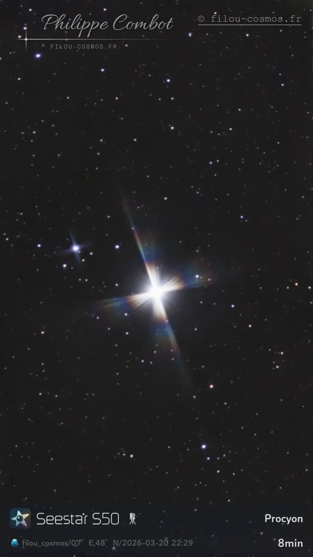 Procyon
